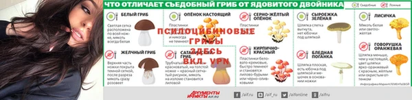 ГАЛЛЮЦИНОГЕННЫЕ ГРИБЫ Пестово