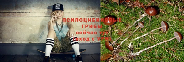 мет Осташков