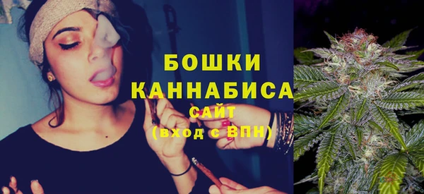 ГАЛЛЮЦИНОГЕННЫЕ ГРИБЫ Пестово