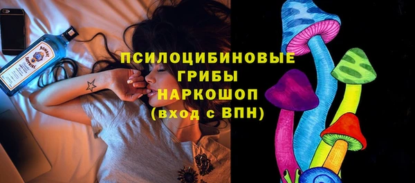 ГАЛЛЮЦИНОГЕННЫЕ ГРИБЫ Пестово